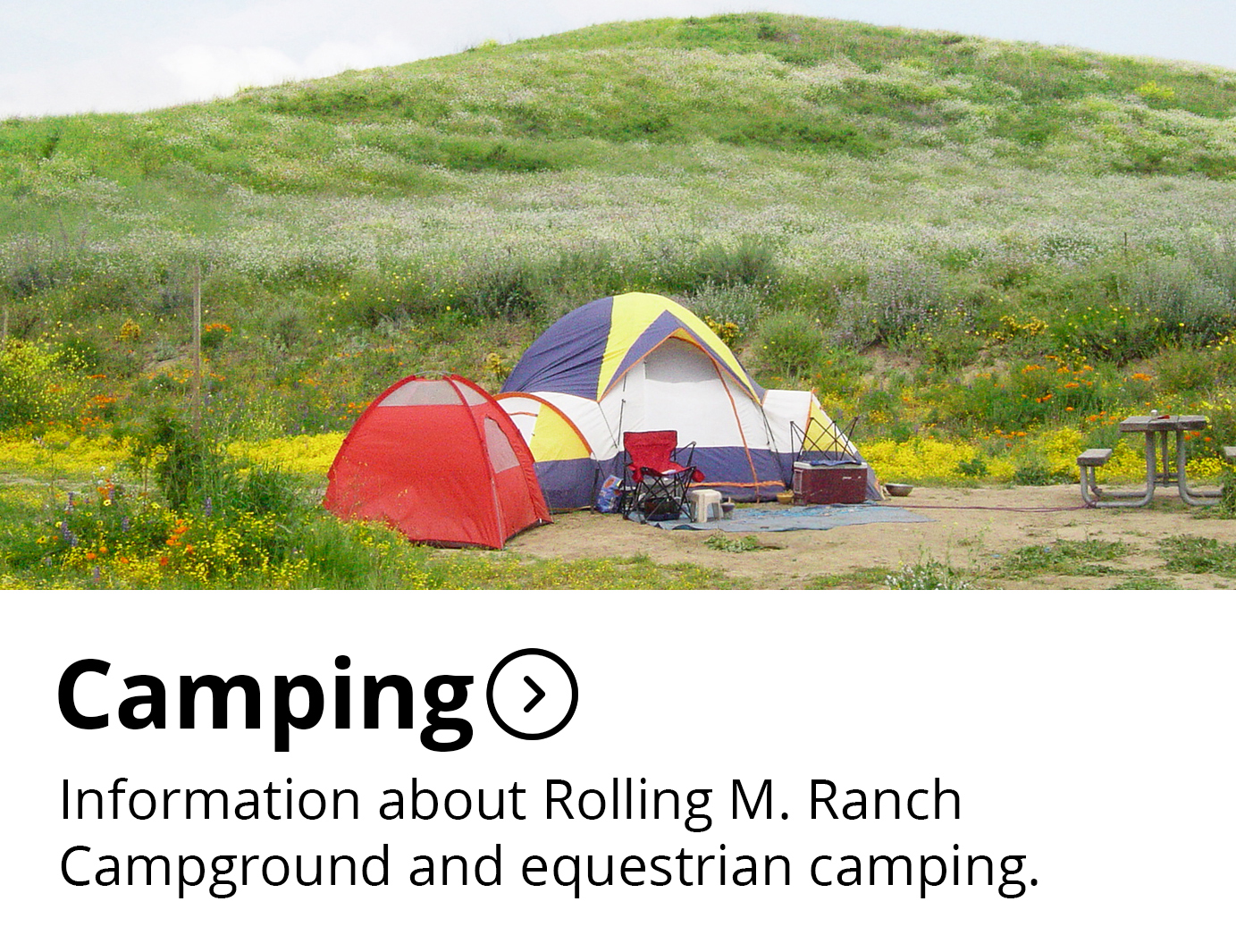 Camping Button